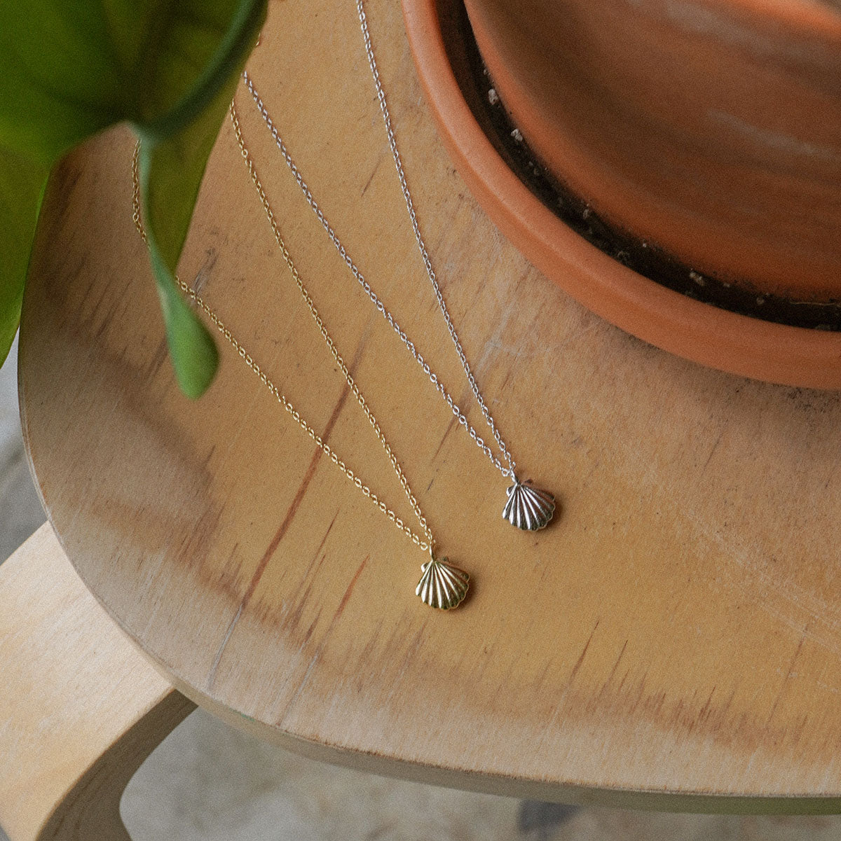 Daria Shell Necklace